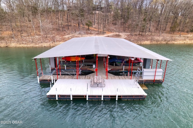 dock area with a water view