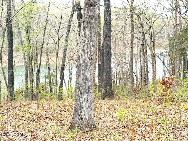 view of local wilderness with a forest view