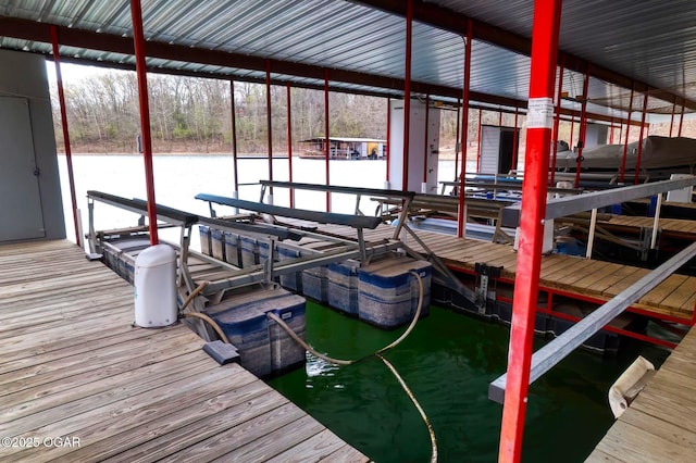 dock area with boat lift