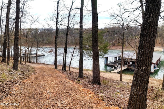 water view featuring a wooded view and a floating dock