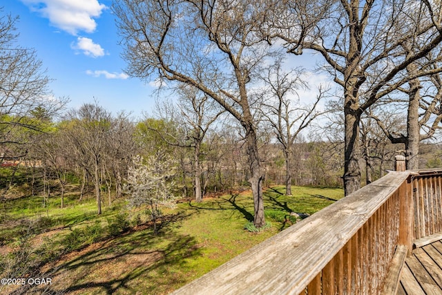 4427 Edgewood Cir, Loma Linda, MO 64804 - view of yard