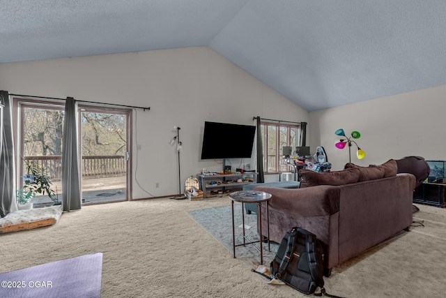 4427 Edgewood Cir, Loma Linda, MO 64804 - living area featuring carpet and lofted ceiling