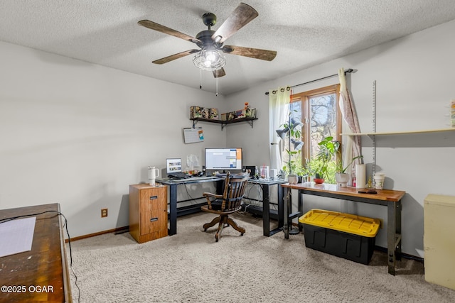4427 Edgewood Cir, Loma Linda, MO 64804 - office space featuring ceiling fan, carpet flooring, baseboards, and a textured ceiling