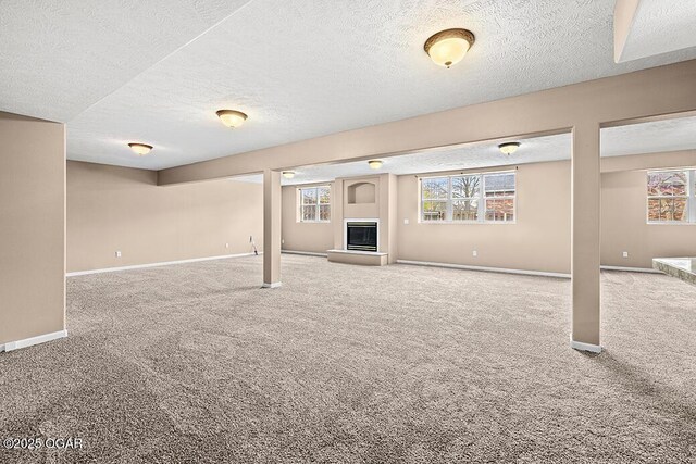 3826 W Randall St, Battlefield, MO 65619 - basement featuring plenty of natural light and carpet