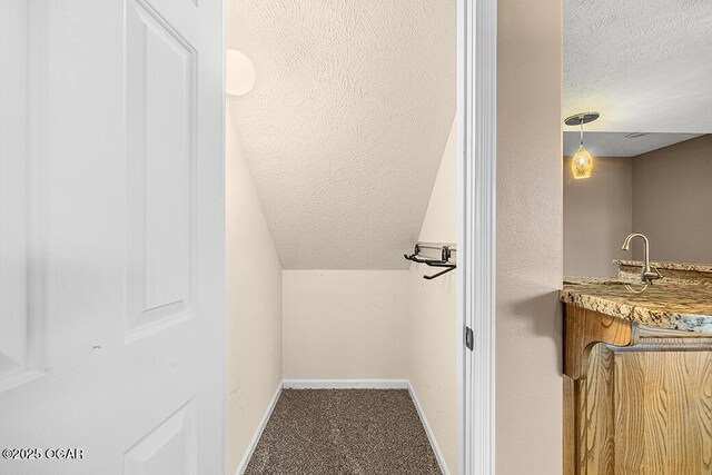3826 W Randall St, Battlefield, MO 65619 - interior space with a sink, baseboards, vaulted ceiling, and a textured ceiling