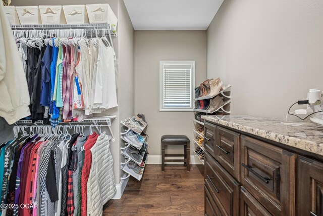1624 Liam St, Carthage, MO 64836 - walk in closet with dark wood-type flooring