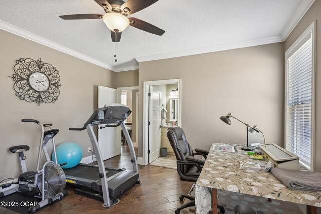 1624 Liam St, Carthage, MO 64836 - office area with crown molding, ceiling fan, hardwood / wood-style flooring, and a textured ceiling