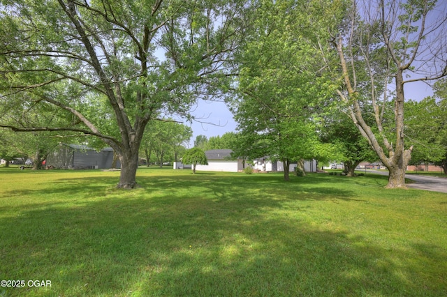 606 Meadowmere Dr, Webb City, MO 64870 - view of grassy yard