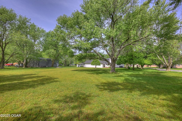 606 Meadowmere Dr, Webb City, MO 64870 - view of green lawn