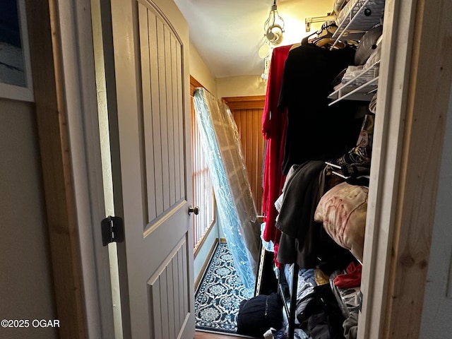 view of walk in closet
