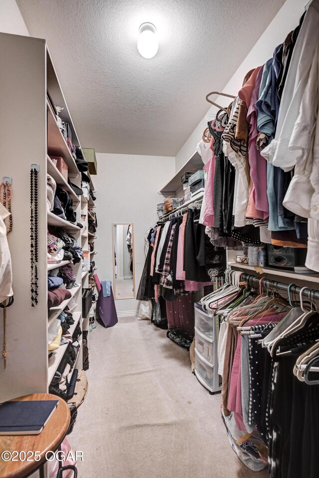 1000 Oakmont Dr, Joplin, MO 64804 - walk in closet featuring carpet flooring