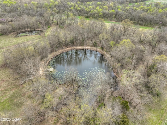 241 SE 40th Rd, Lamar, MO 64759 - bird's eye view with a water view