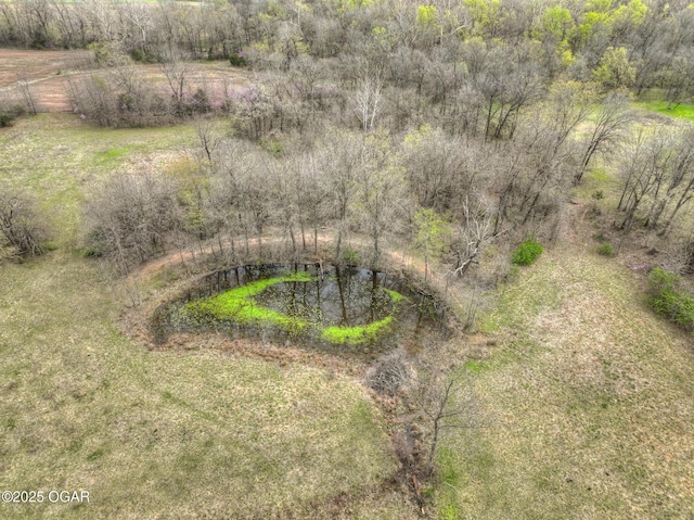 241 SE 40th Rd, Lamar, MO 64759 - bird's eye view