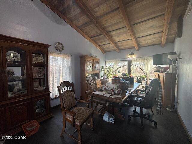 241 SE 40th Rd, Lamar, MO 64759 - carpeted dining space featuring wooden ceiling, plenty of natural light, and beam ceiling
