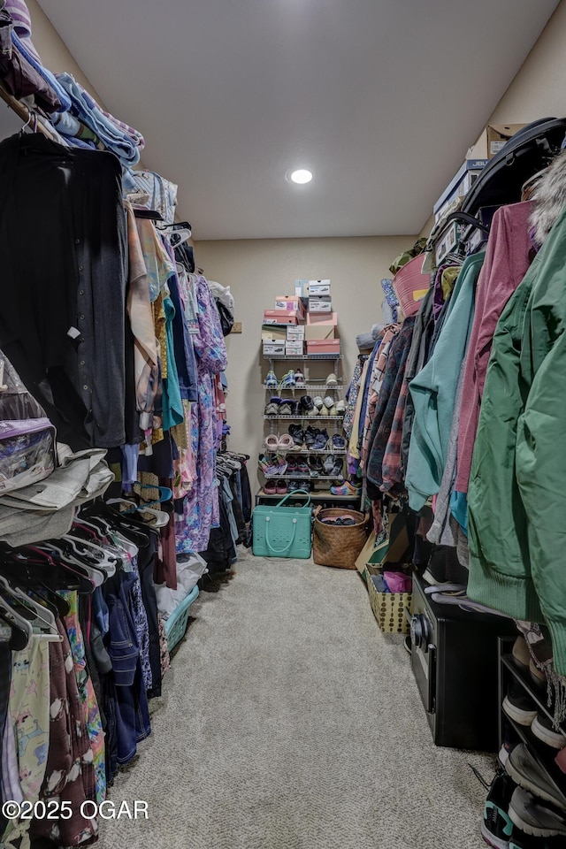 walk in closet featuring carpet flooring