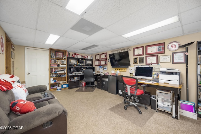 home office with a drop ceiling and carpet floors