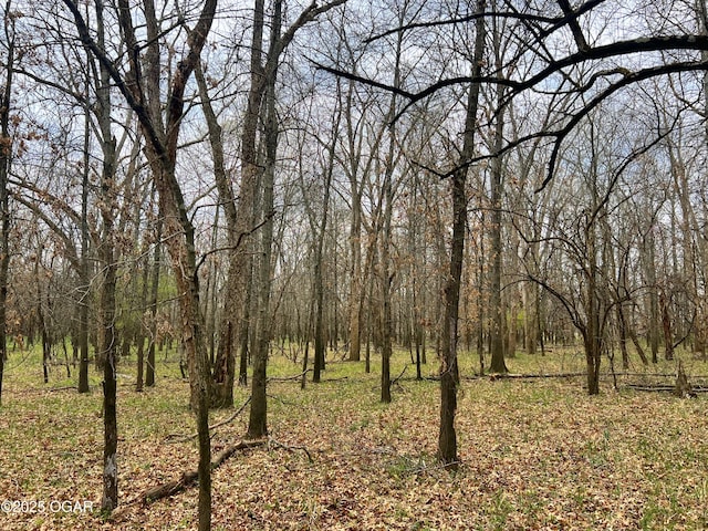 100 S 575th Rd, Deerfield, MO 64741