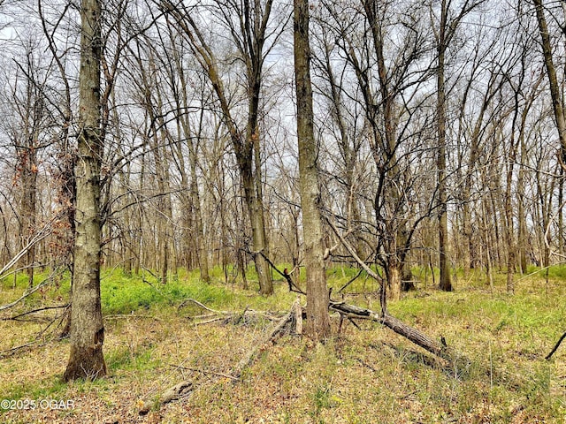 100 S 575th Rd, Deerfield, MO 64741