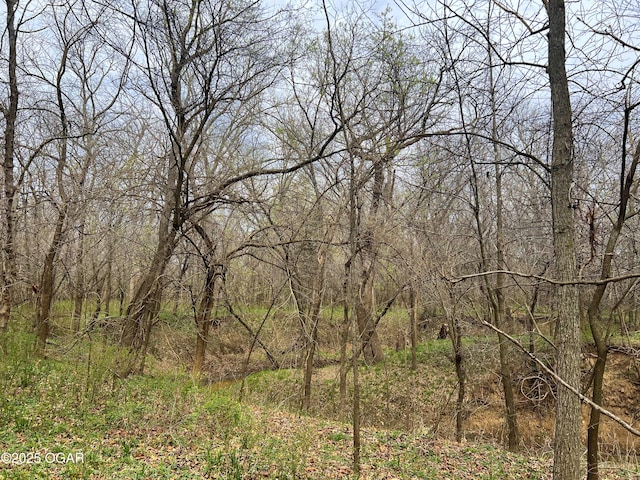 100 S 575th Rd, Deerfield, MO 64741