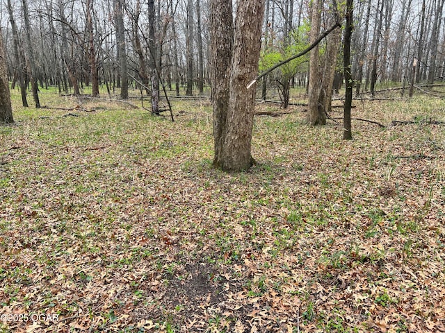 100 S 575th Rd, Deerfield, MO 64741