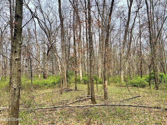 100 S 575th Rd, Deerfield, MO 64741