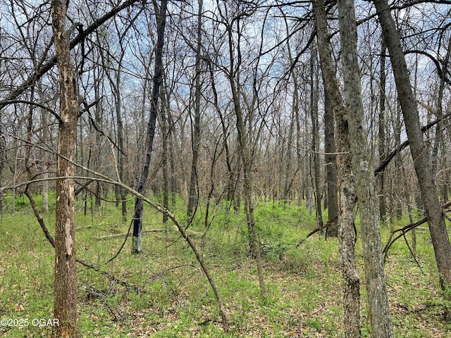 100 S 575th Rd, Deerfield, MO 64741