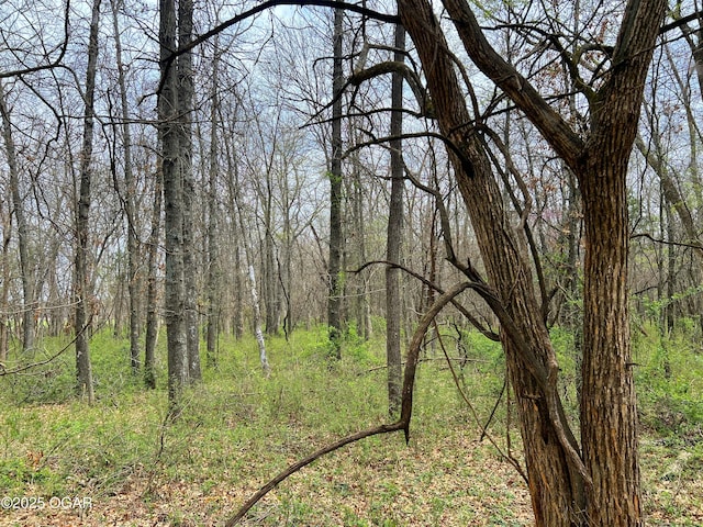 100 S 575th Rd, Deerfield, MO 64741