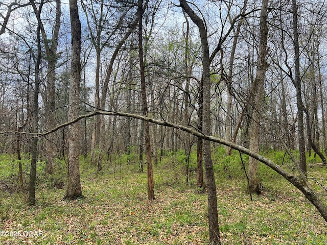 100 S 575th Rd, Deerfield, MO 64741