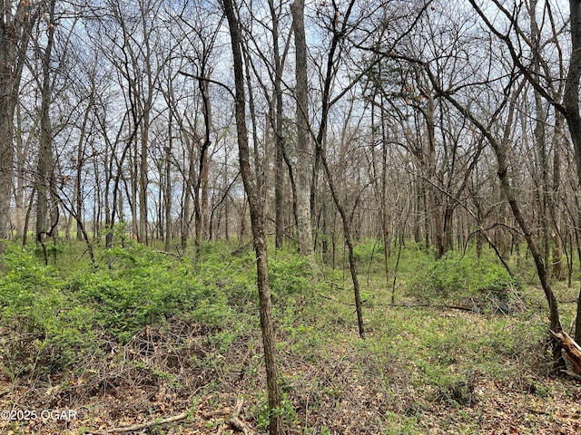 100 S 575th Rd, Deerfield, MO 64741