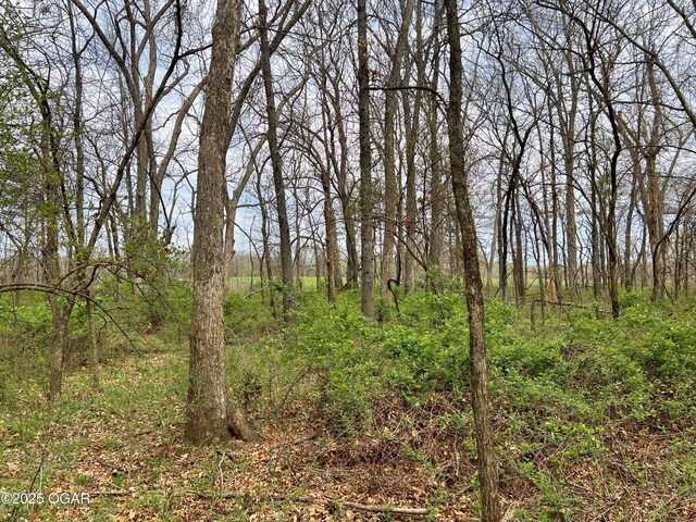 100 S 575th Rd, Deerfield, MO 64741