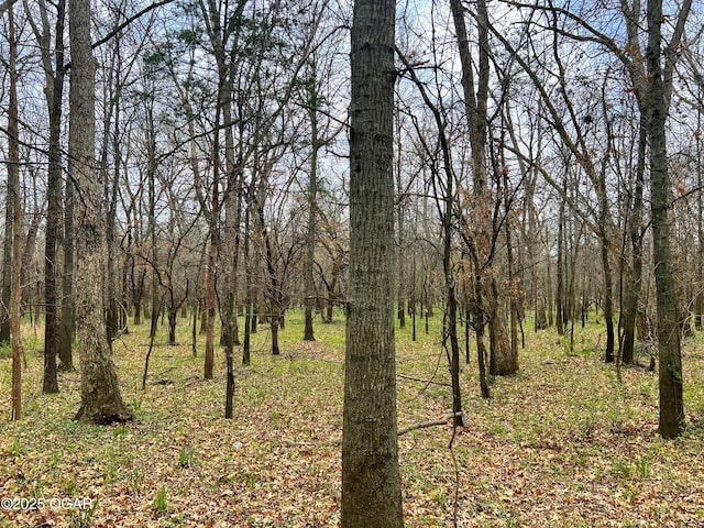 100 S 575th Rd, Deerfield, MO 64741
