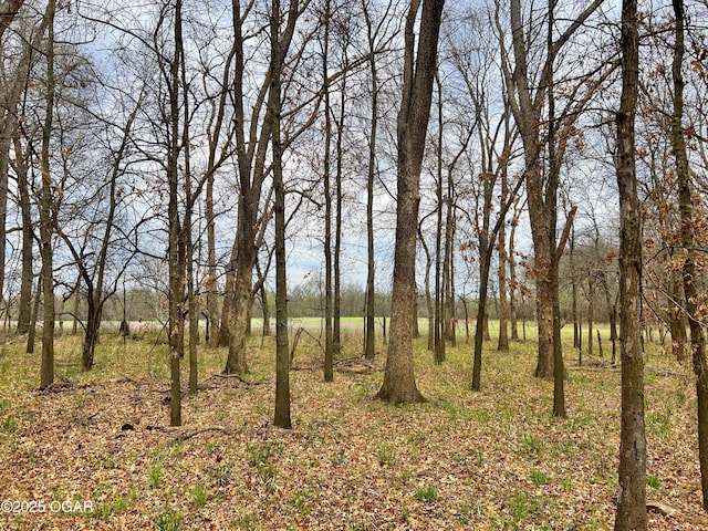 100 S 575th Rd, Deerfield, MO 64741