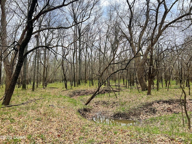 100 S 575th Rd, Deerfield, MO 64741