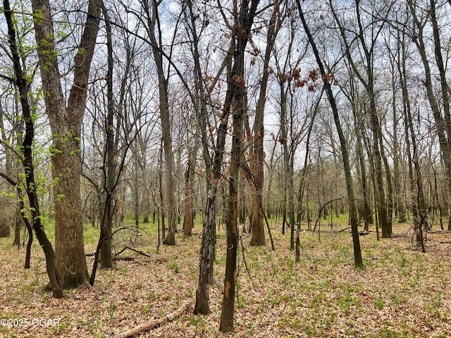 100 S 575th Rd, Deerfield, MO 64741