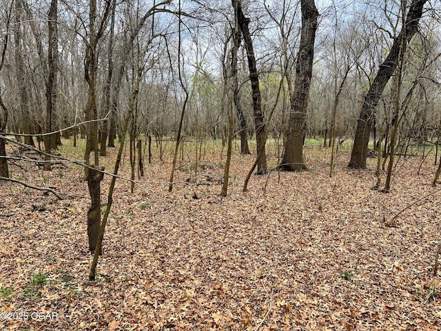 100 S 575th Rd, Deerfield, MO 64741