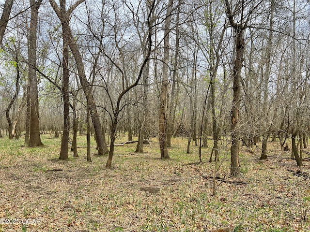 100 S 575th Rd, Deerfield, MO 64741