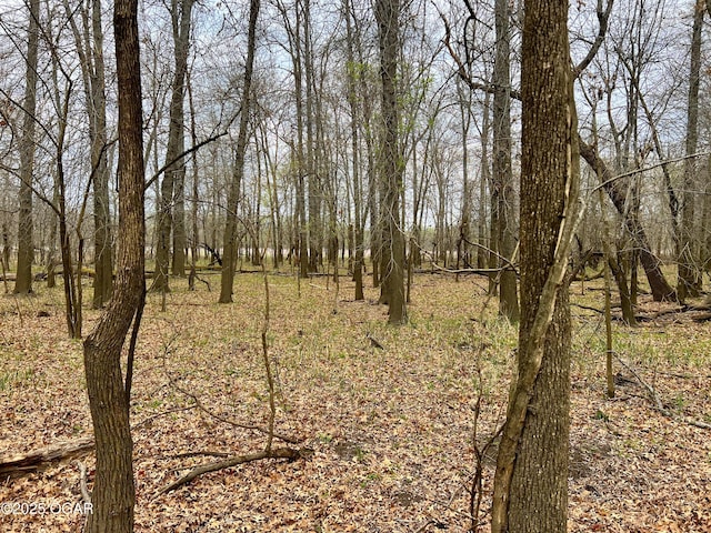 100 S 575th Rd, Deerfield, MO 64741