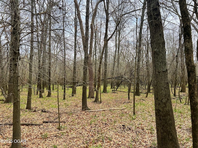 100 S 575th Rd, Deerfield, MO 64741
