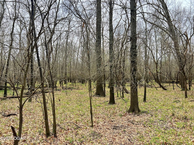 100 S 575th Rd, Deerfield, MO 64741