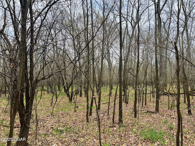 100 S 575th Rd, Deerfield, MO 64741
