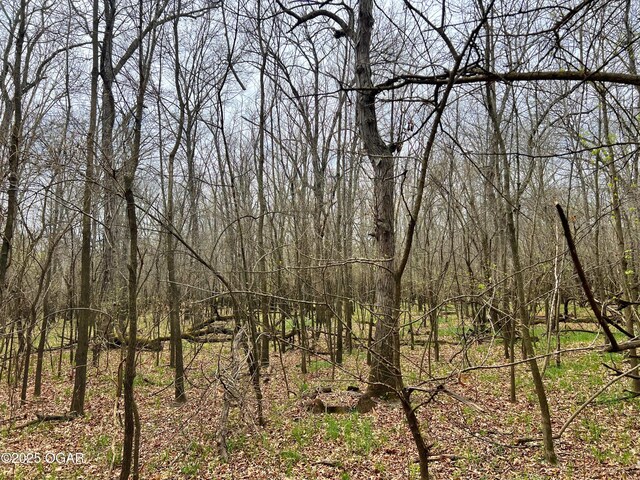 100 S 575th Rd, Deerfield, MO 64741
