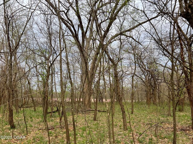 100 S 575th Rd, Deerfield, MO 64741