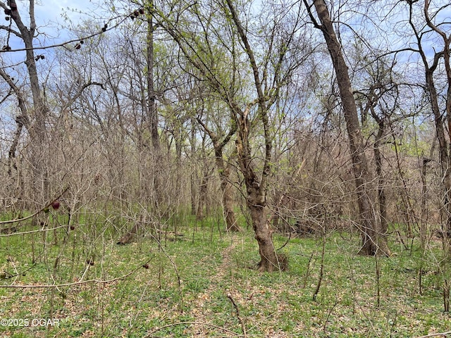 100 S 575th Rd, Deerfield, MO 64741