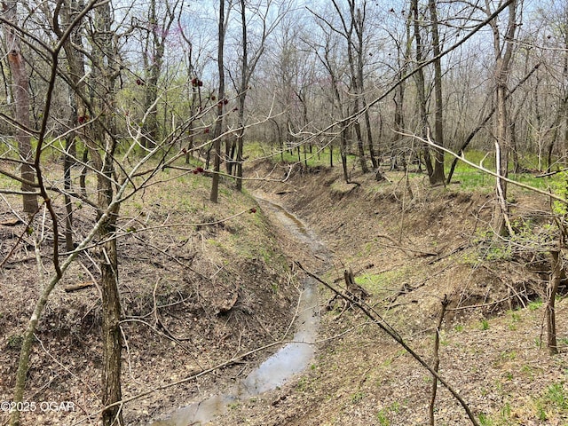 100 S 575th Rd, Deerfield, MO 64741