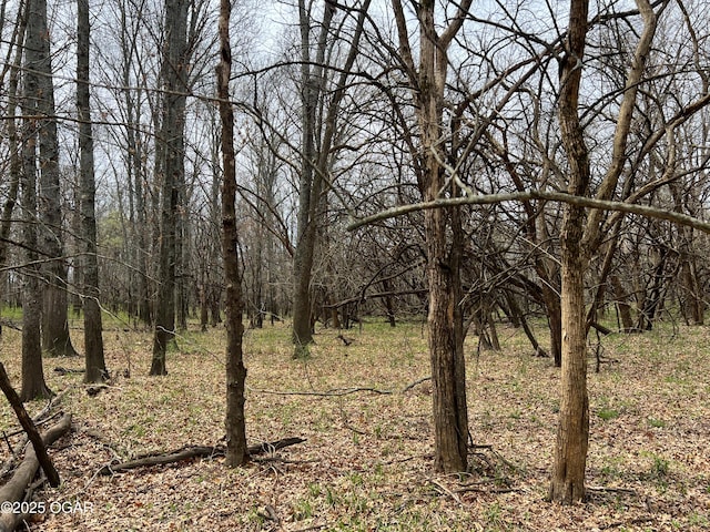100 S 575th Rd, Deerfield, MO 64741