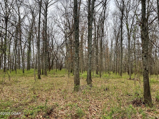 100 S 575th Rd, Deerfield, MO 64741