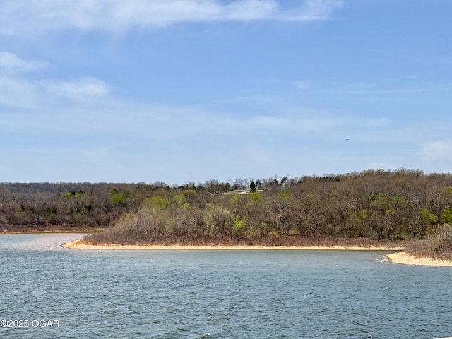 466 Rte Y, Arcola, MO 65603 - photo 6