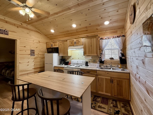 466 Rte Y, Arcola, MO 65603 - photo 48