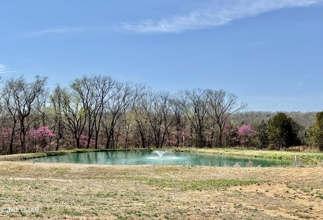 466 Rte Y, Arcola, MO 65603 - photo 57