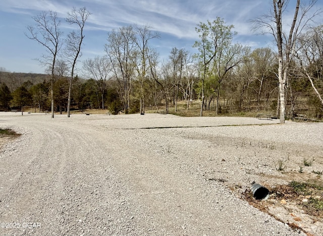 466 Rte Y, Arcola, MO 65603 - photo 61